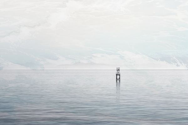 华为p60pro手机参数配置详细 华为p60pro手机参数配置详细