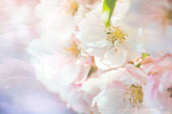 华为p60pro电池容量多大