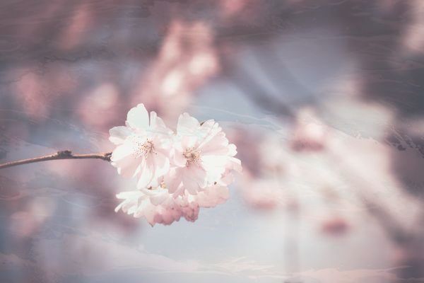 华为p60pro手机是不是5G