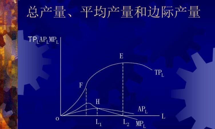 边际产量与平均产量的关系是什么 边际产量曲线与平均产量曲线图像(图1)