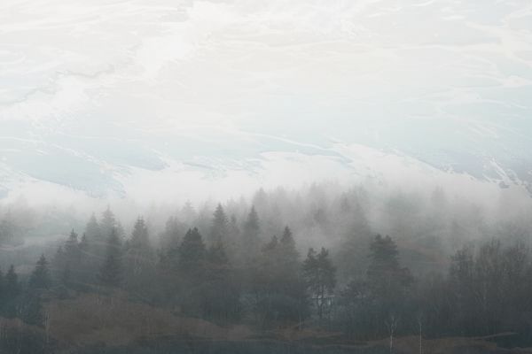 深圳居住登记证明怎么办理