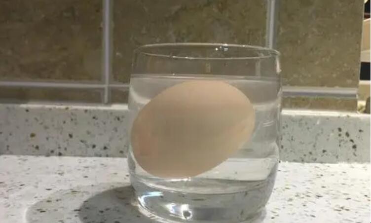 鸡蛋为什么会在盐水中浮起来 鸡蛋为什么会在盐水中漂浮起来?(图1)