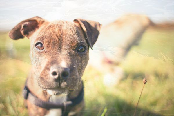 win7怎样设置家长控制(win7如何设置家长控制) win7怎样设置家长控制(win7如何设置家长控制)